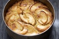 rustic apple cake in baking tin Royalty Free Stock Photo