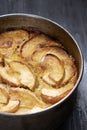 rustic apple cake in baking tin Royalty Free Stock Photo