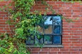 Rustic architecture background of rural building. Old window in a red brick wall with vines and climbing plants growing Royalty Free Stock Photo