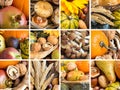 Rustic autumn collage: fruits, cereals and vegetables Royalty Free Stock Photo