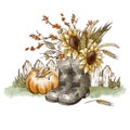Rustic autumn farm floral illustration. Vintage fall sunflowers, pumpkin greeting card. Thanksgiving harvest