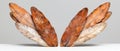 Rustic autumn leaves