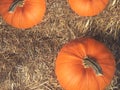 Rustic Fall Pumpkins and Hay Background From Directly Above