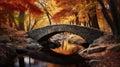 rustic autumn scenery day landscape