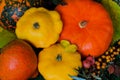 Rustic autumn still life with different pumpkins, top view, bright background Royalty Free Stock Photo