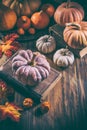 Rustic autumn still life with different pumpkins on wooden surface in vintage style Royalty Free Stock Photo