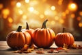 A rustic autumn still life with pumpkins and golden leaves on a wooden surface. Bright sunlight coming in from behind. Royalty Free Stock Photo