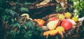 A rustic autumn still life with pumpkins and golden leaves on a wooden surface in garden. Royalty Free Stock Photo