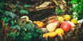 A rustic autumn still life with pumpkins and golden leaves on a wooden surface in garden. Royalty Free Stock Photo