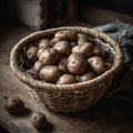 Rustic Baby Potatoes Basket Royalty Free Stock Photo