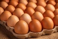 Rustic backdrop, brown raw eggs in factory packaging, with copy space Royalty Free Stock Photo