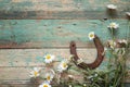 Rustic background with rusty horseshoe and daisies on old wooden Royalty Free Stock Photo