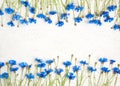 Rustic background with two Border pattern of Blue Cornflower Royalty Free Stock Photo