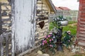 Rustic Backyard Garden Shed With Petunias