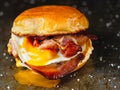 Rustic bacon egg breakfast sandwich bun Royalty Free Stock Photo