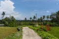 Rustic Balinese summer landscape