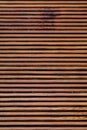 Rustic bamboo texture. Horizontal lines.