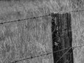 Rustic Barbed Wire Fence in Black and White Royalty Free Stock Photo