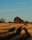 A rustic barn in a hay field Royalty Free Stock Photo