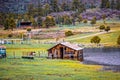 Rustic Barn Partly submerged in Pond in springtime with hill of blooming trees behind and yellow wildflowers in foreground -