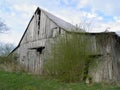 Rustic Barn Scene Royalty Free Stock Photo