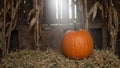 Rustic barn scene with pumpkin hay bale corn stalks and soft sunlight Royalty Free Stock Photo