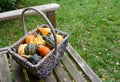 Rustic basket filled with a selection of ornamental gourds Royalty Free Stock Photo