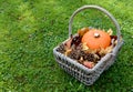 Rustic basket with pumpkin, fir cones and leaves Royalty Free Stock Photo