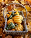 Rustic basket of yellow and green ornamental gourds