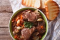 Rustic Beef Bourguignon in a bowl on a table close-up. horizontal top view Royalty Free Stock Photo