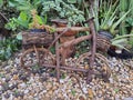 Rustic bicycle made of vine, to be used to place flowers