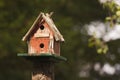 Rustic Birdhouse