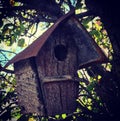 Rustic birdhouse