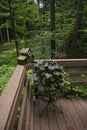 Rustic Birdhouse on Wooden Deck