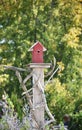 Rustic Birdhouse on wooden pole