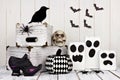 Rustic black and white Halloween decor Royalty Free Stock Photo