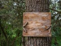 Rustic blank wood sign tied to a tree Royalty Free Stock Photo