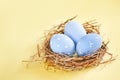 Rustic Blue Eggs in the Hay Nest on Yellow Background