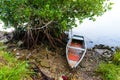 Colorful Mexican Rustic Boats