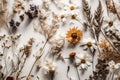 Rustic Boho Dried Wildflower Textured Neutral Minimal Background Social Media Posts.
