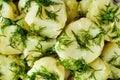 Rustic boiled potato and dill food background