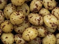 Rustic boiled potato in mustard food background