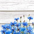 Rustic Border of Blue Cornflower on wood white background Royalty Free Stock Photo