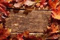 Rustic border of colorful autumn leaves