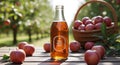 A rustic bottle of fresh-pressed apple juice on a table in an orchard, with a basket of apples in the background. Royalty Free Stock Photo