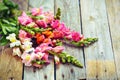 Rustic bouquet of snapdragon (Antirrhinum majus) on vintage wood