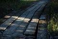 Rustic Brick Pathway with Dappled Sunlight and Shadows Leading into a Garden Royalty Free Stock Photo