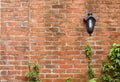 Rustic brick wall with a lamp and plants