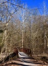 Rustic bridge and majestic trees on a hiking trail.