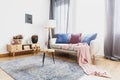 Rustic bright living room interior Royalty Free Stock Photo